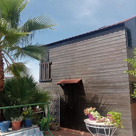 La Cabana Nevada Cenes De La Vega Exterior photo